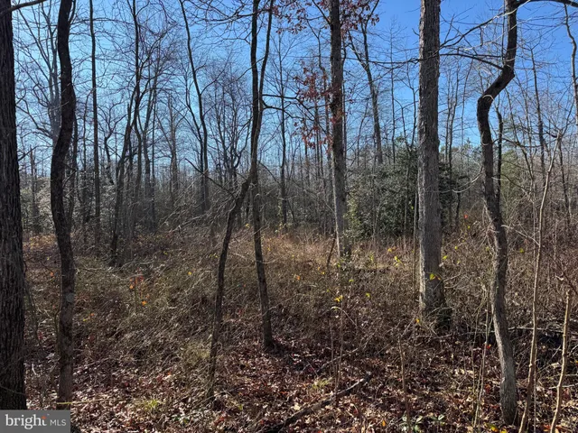 $795,000 | 0 Sandtown Road, Felton, DE 19943