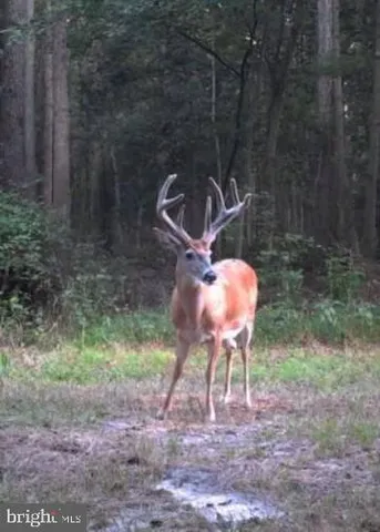 a backyard of a house