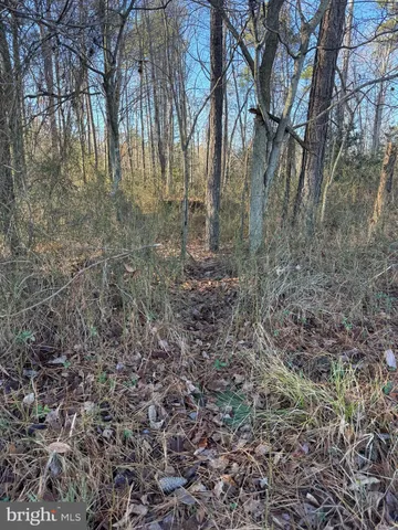 $795,000 | 0 Sandtown Road, Felton, DE 19943