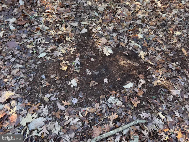 $795,000 | 0 Sandtown Road, Felton, DE 19943