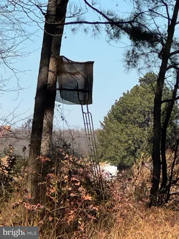 $795,000 | 0 Sandtown Road, Felton, DE 19943