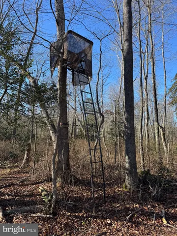 $795,000 | 0 Sandtown Road, Felton, DE 19943