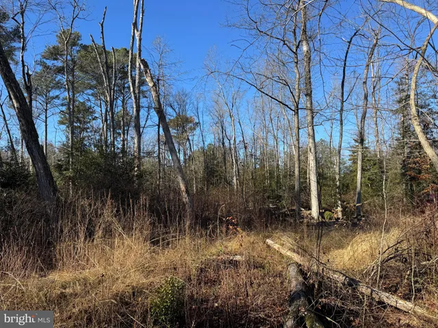 $795,000 | 0 Sandtown Road, Felton, DE 19943