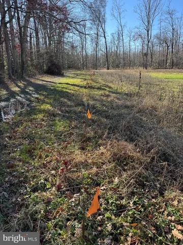 $795,000 | 0 Sandtown Road, Felton, DE 19943