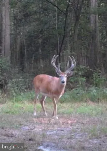 a view of a lake from a yard