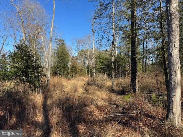 $795,000 | 0 Sandtown Road, Felton, DE 19943