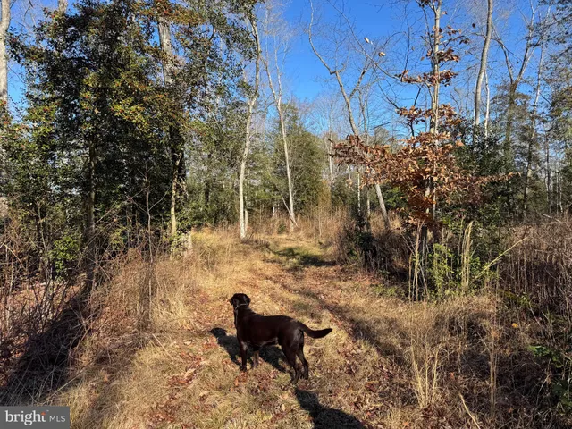 $795,000 | 0 Sandtown Road, Felton, DE 19943