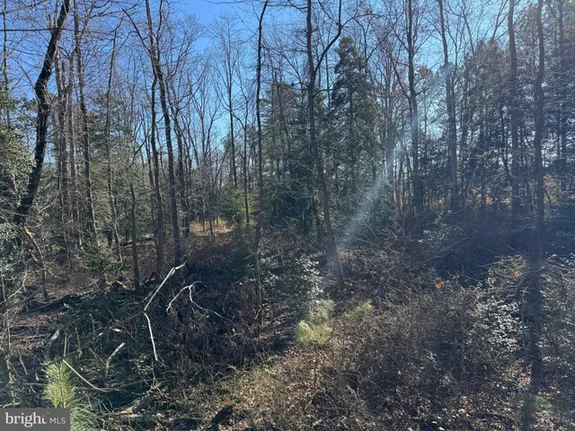 $795,000 | 0 Sandtown Road, Felton, DE 19943