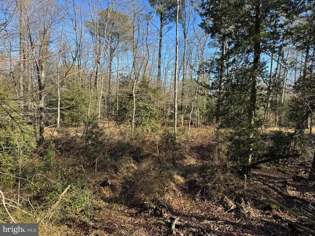 $795,000 | 0 Sandtown Road, Felton, DE 19943