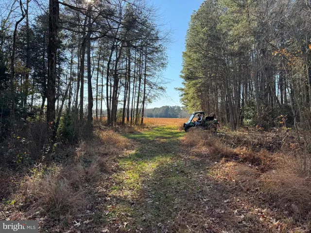 $795,000 | 0 Sandtown Road, Felton, DE 19943