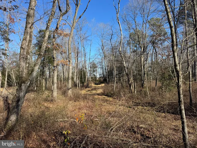 $795,000 | 0 Sandtown Road, Felton, DE 19943