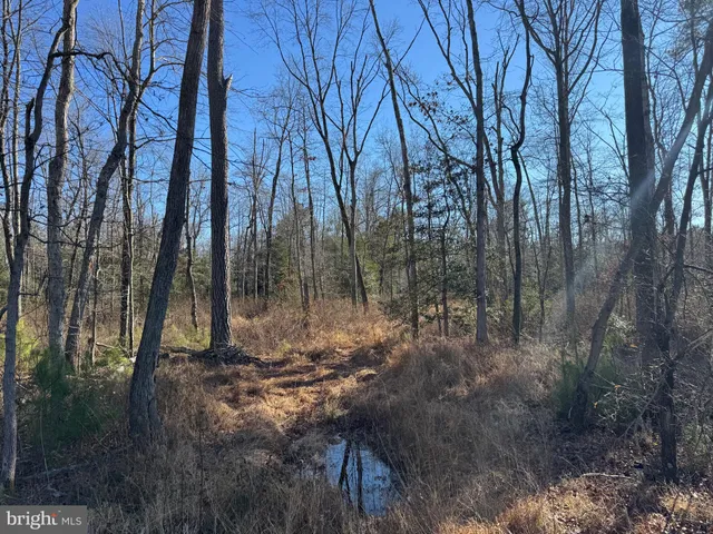 $795,000 | 0 Sandtown Road, Felton, DE 19943