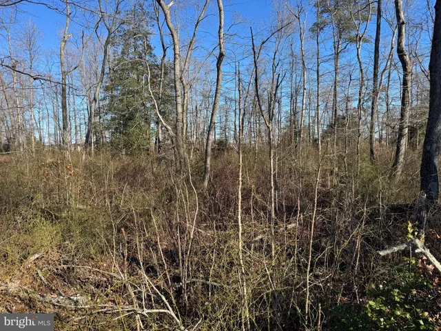 $795,000 | 0 Sandtown Road, Felton, DE 19943