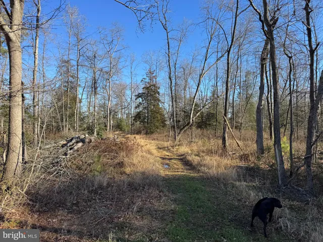 $795,000 | 0 Sandtown Road, Felton, DE 19943