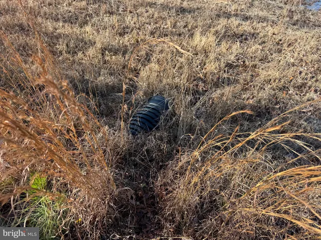 $795,000 | 0 Sandtown Road, Felton, DE 19943