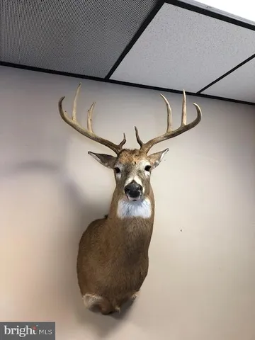 a view of a yard with wooden fence