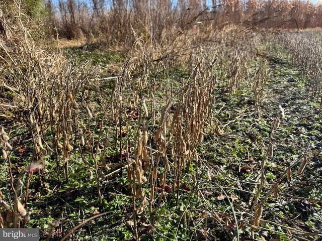 $795,000 | 0 Sandtown Road, Felton, DE 19943