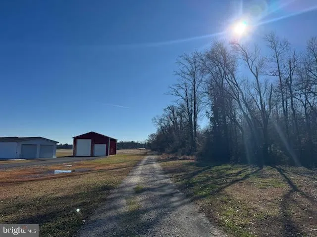 a view of a yard with an outdoor space