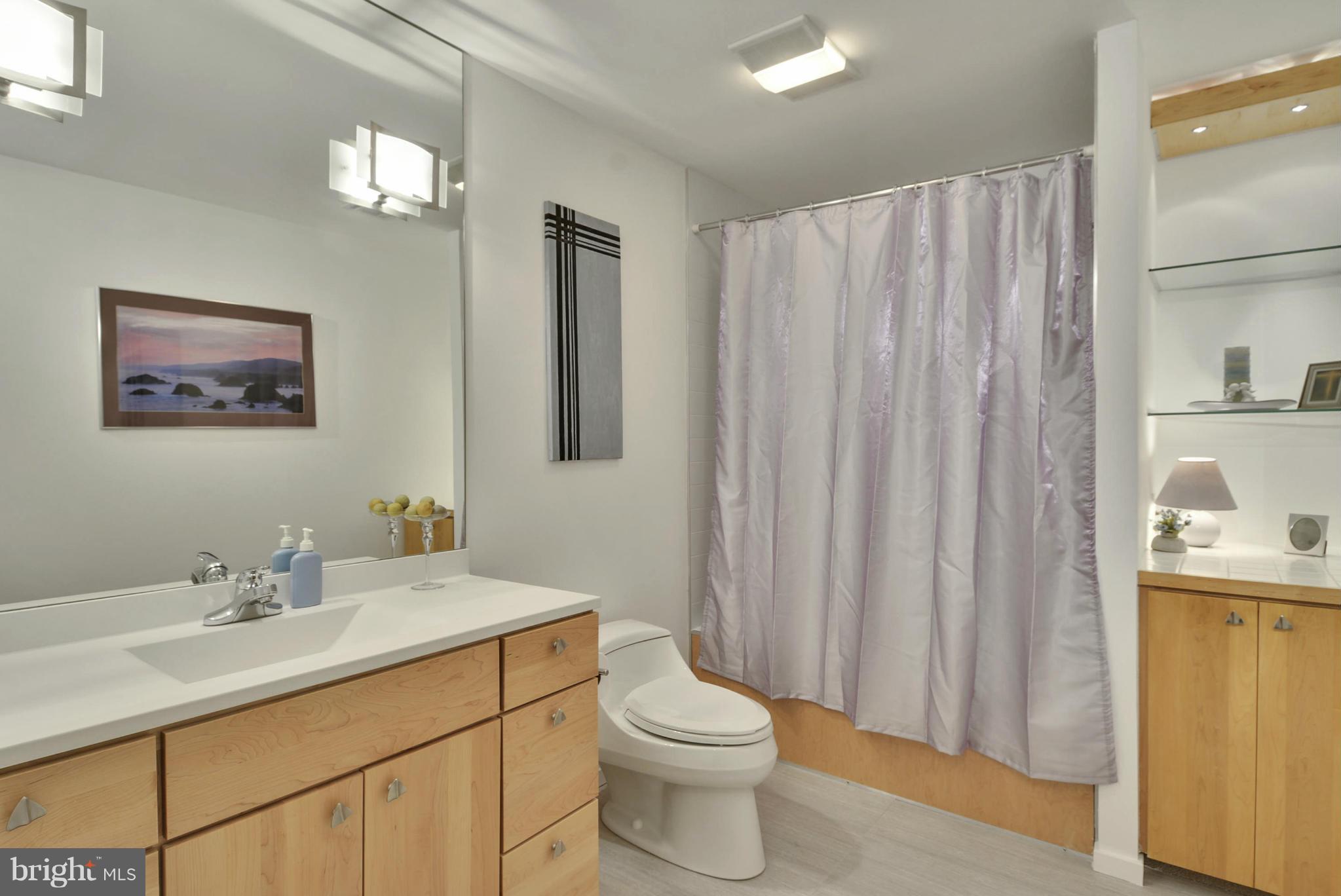 2600 Tack Lane Reston, VA 20191 - Photo 18 of 30 a bathroom with a sink vanity mirror and toilet