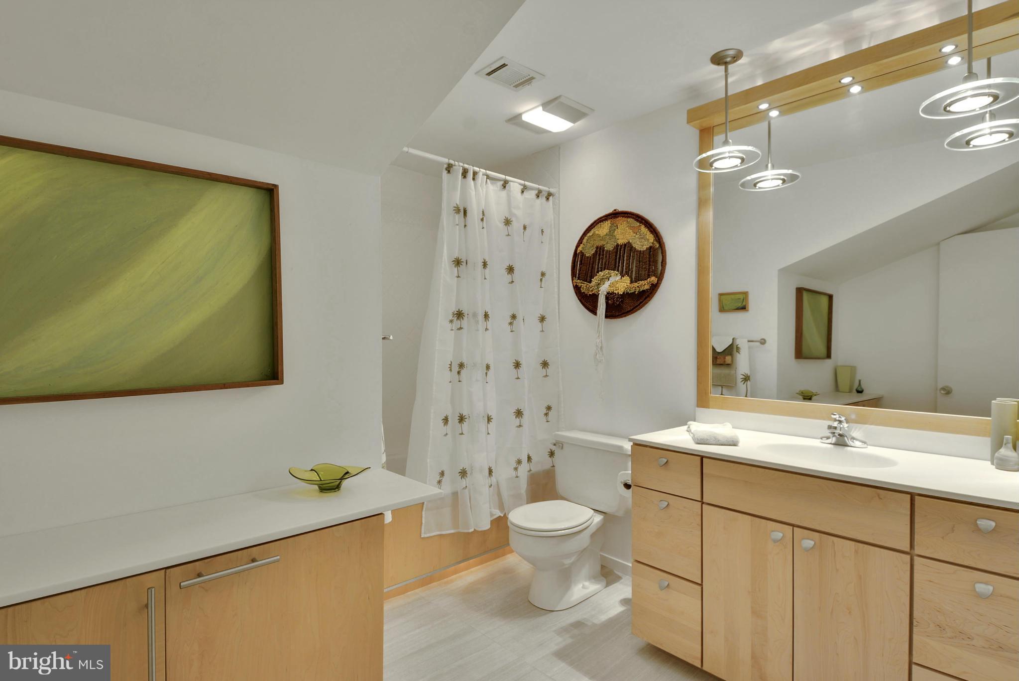 2600 Tack Lane Reston, VA 20191 - Photo 20 of 30 a bathroom with a toilet a sink and mirror