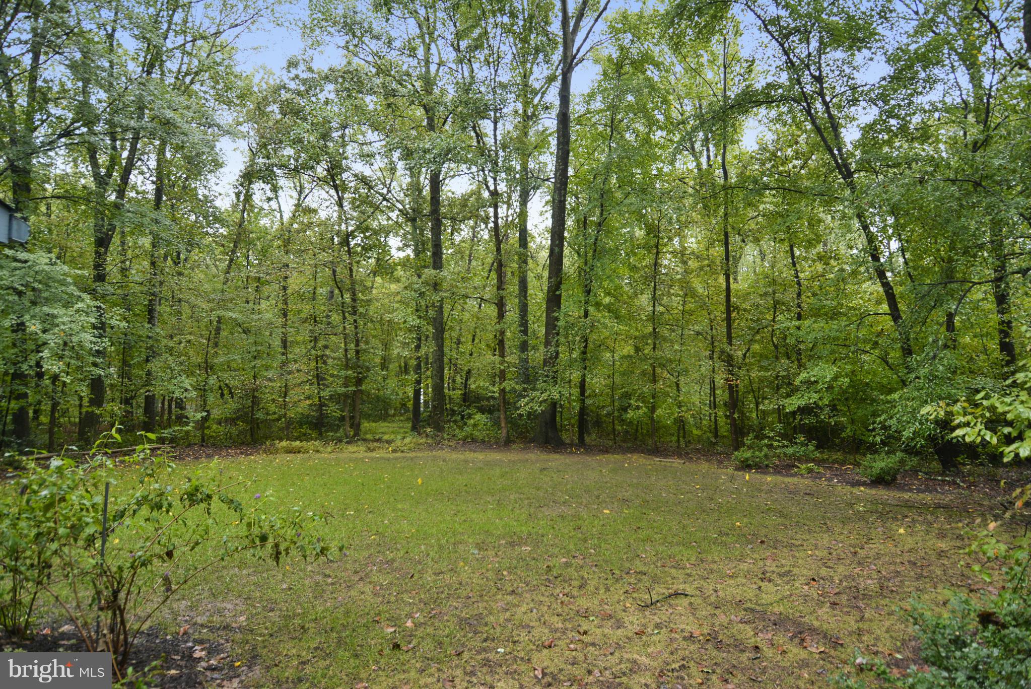 2600 Tack Lane Reston, VA 20191 - Photo 25 of 30 a view of outdoor space with trees all around