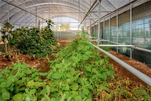 a view of a backyard with plants and patio