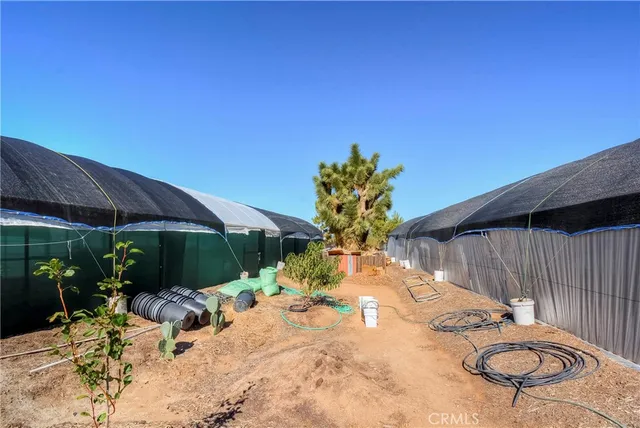a view of a backyard with table and chairs and potted plants