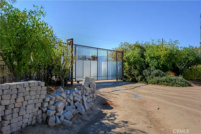 a view of a road with plants and large trees