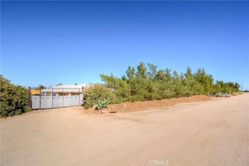 9331 Manada Road Phelan, CA 92371 - Photo 9 of 38 a view of a road with plants and large trees