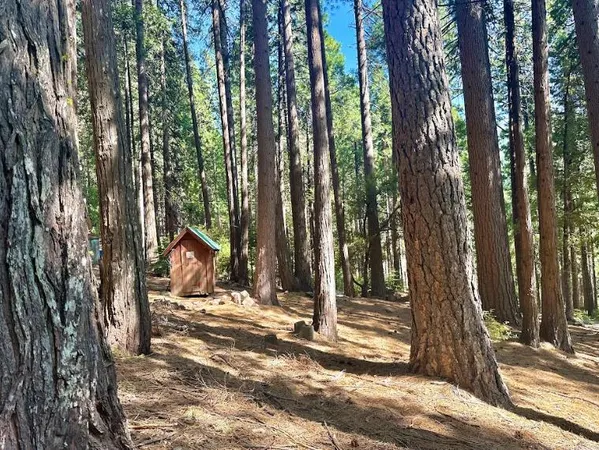 $99,000 | 68 Por Street, Sierra City, CA 96125
