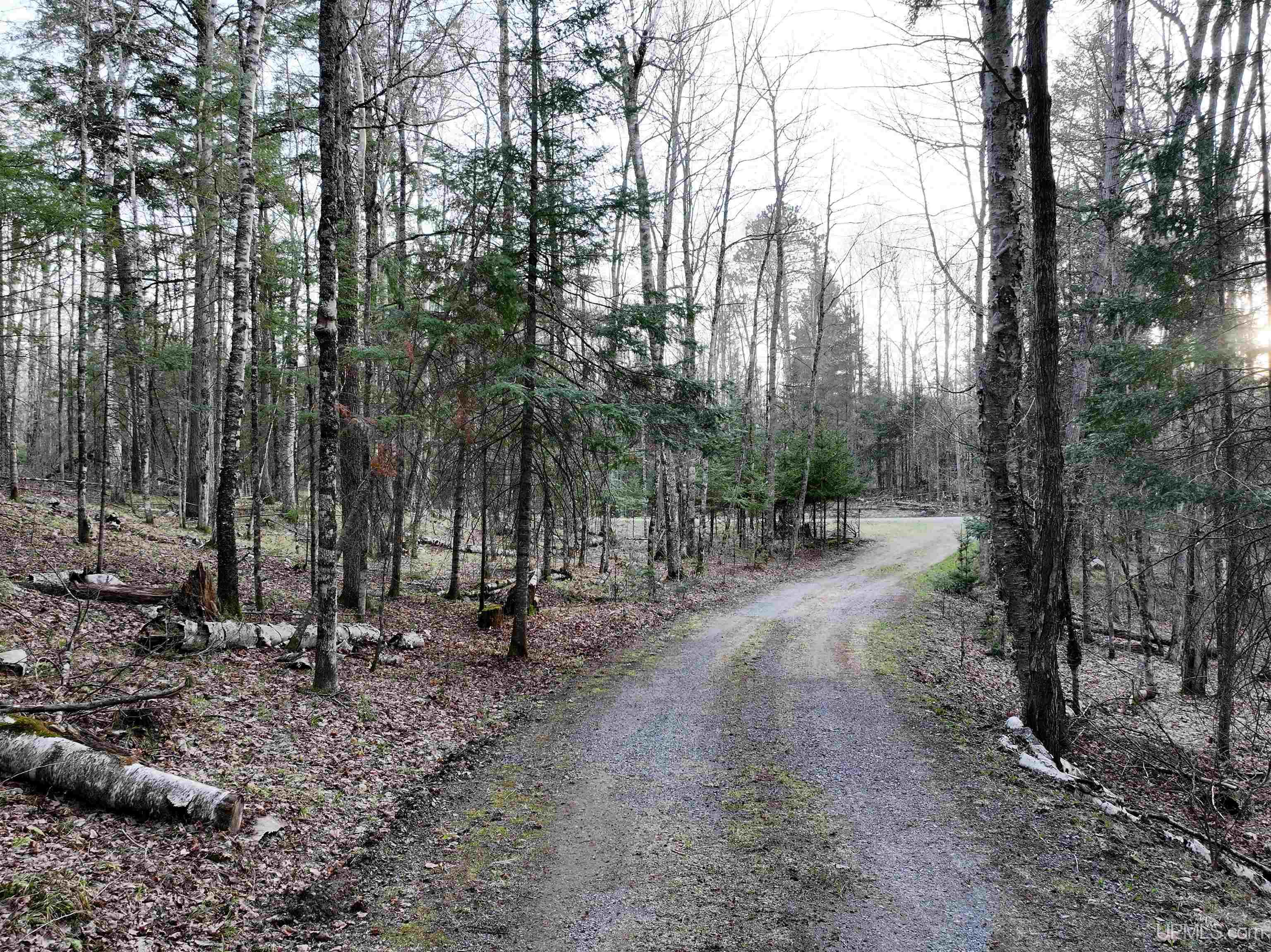 119 Maggie Lake Road Crystal Falls, MI 49920 - Photo 76 of 76