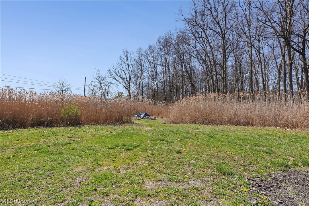 5328 Akron Cleveland Road Peninsula, OH 44264 - Photo 8 of 49