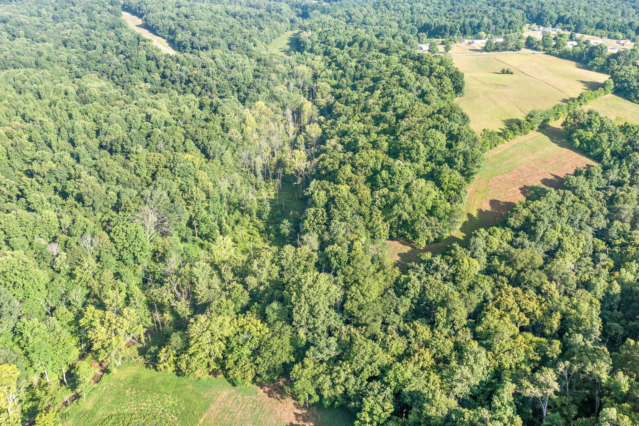 19 Kirkland Road Indian Mound, TN 37079 - Photo 11 of 16 Gallery Image 11