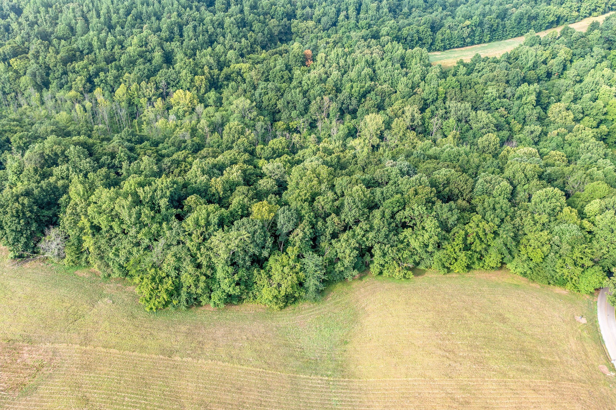 19 Kirkland Road Indian Mound, TN 37079 - Photo 16 of 16 Gallery Image 16