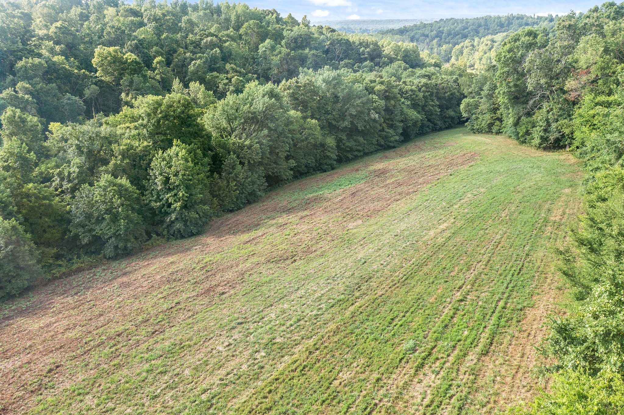 19 Kirkland Road Indian Mound, TN 37079 - Photo 8 of 16 Gallery Image 8