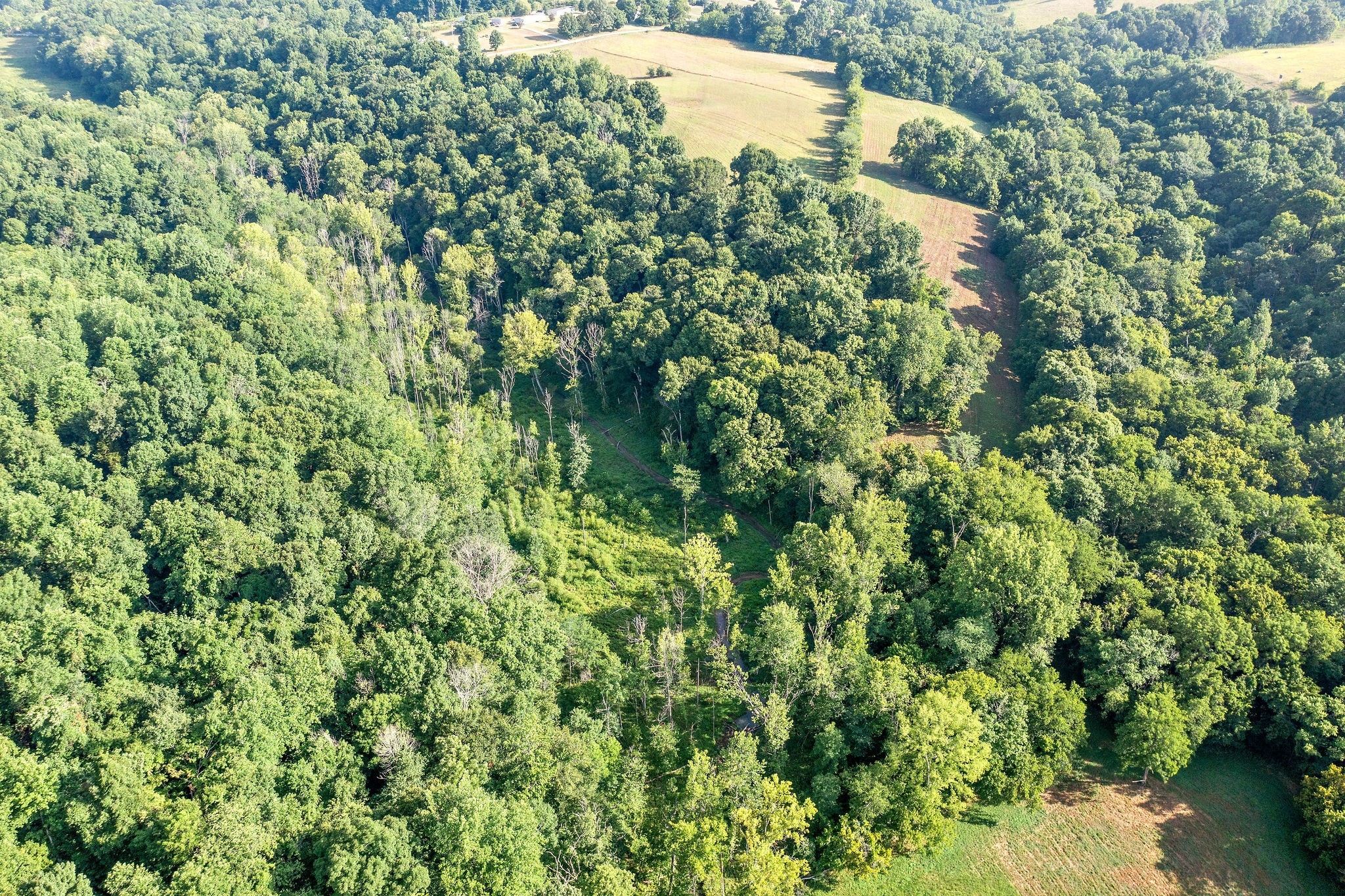 19 Kirkland Road Indian Mound, TN 37079 - Photo 10 of 16 Gallery Image 10