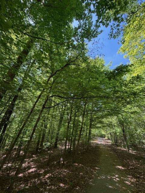 480 Rock House Road Southeast Lawrenceville, GA 30045 - Photo 13 of 21