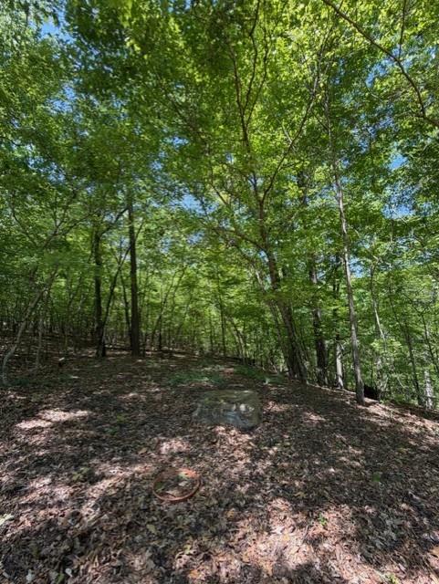 480 Rock House Road Southeast Lawrenceville, GA 30045 - Photo 14 of 21