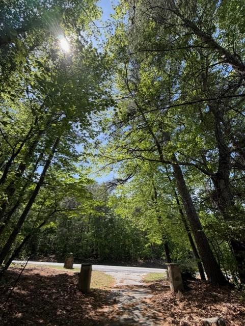 480 Rock House Road Southeast Lawrenceville, GA 30045 - Photo 15 of 21