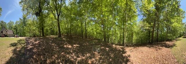 480 Rock House Road Southeast Lawrenceville, GA 30045 - Photo 16 of 21