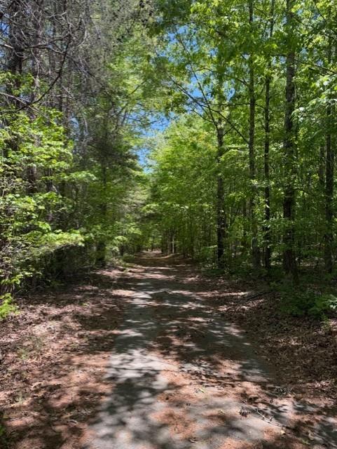 480 Rock House Road Southeast Lawrenceville, GA 30045 - Photo 20 of 21