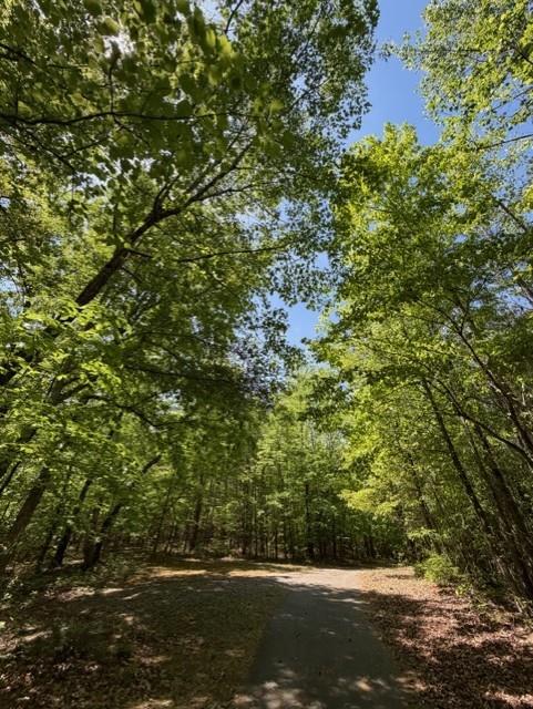 480 Rock House Road Southeast Lawrenceville, GA 30045 - Photo 21 of 21