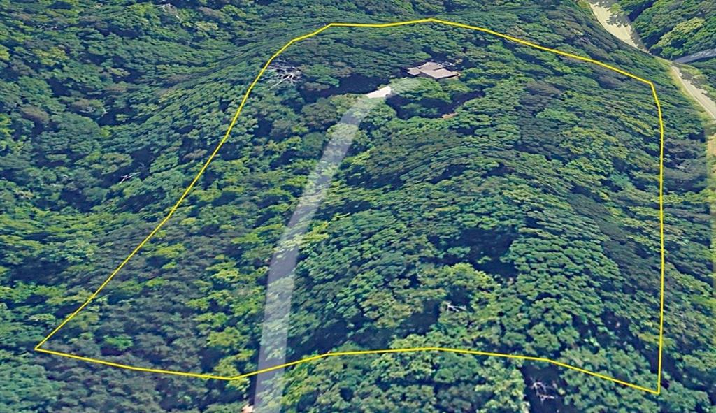 480 Rock House Road Southeast Lawrenceville, GA 30045 - Photo 4 of 21