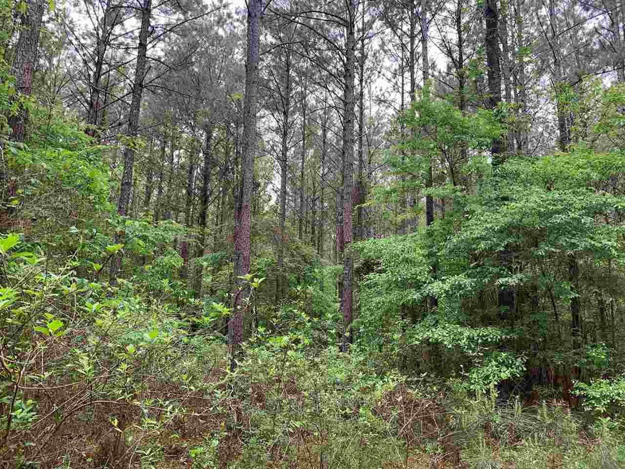 0 Palm Hill Road Brandon, MS 39042 - Photo 2 of 7 Photo 2
