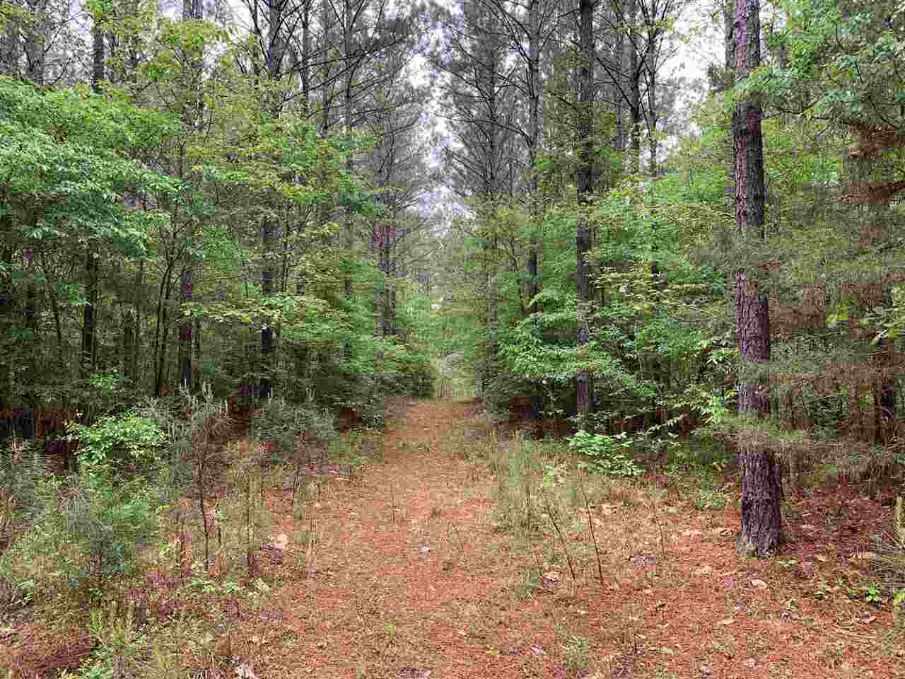 0 Palm Hill Road Brandon, MS 39042 - Photo 3 of 7 Photo 3