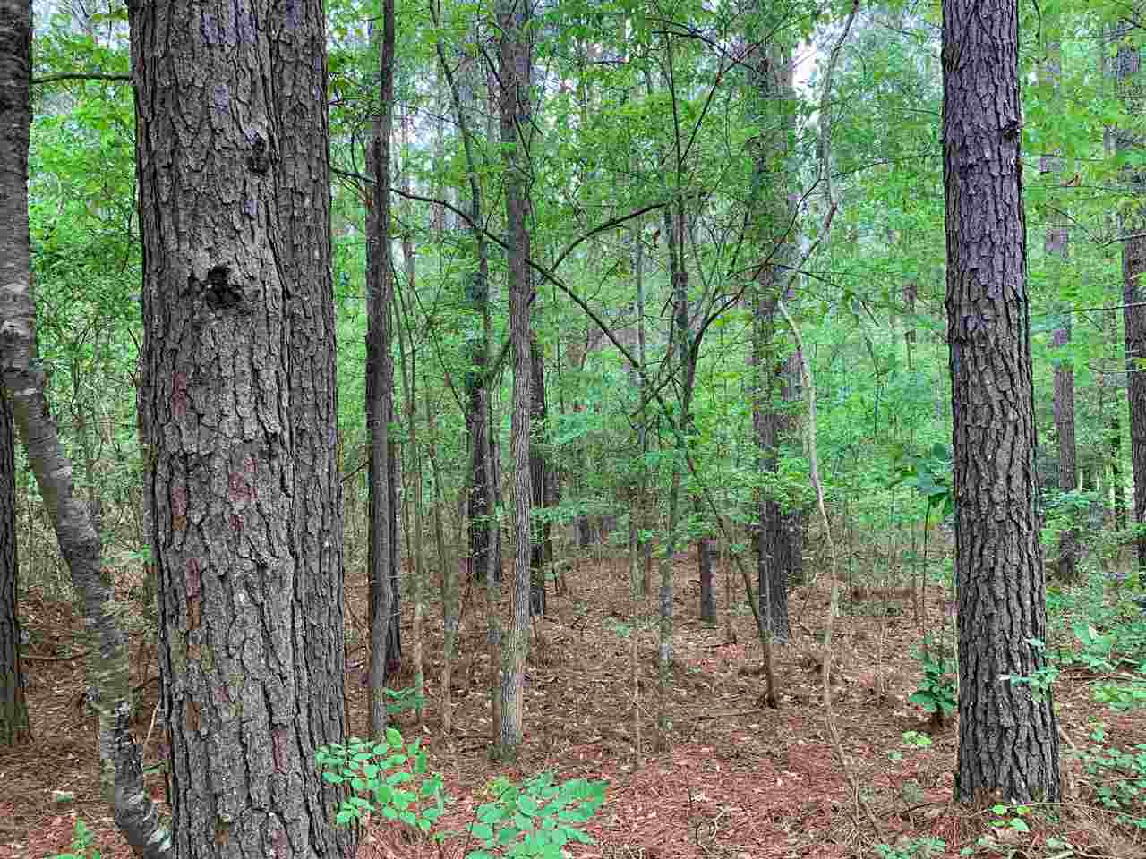 0 Palm Hill Road Brandon, MS 39042 - Photo 4 of 7 Photo 4