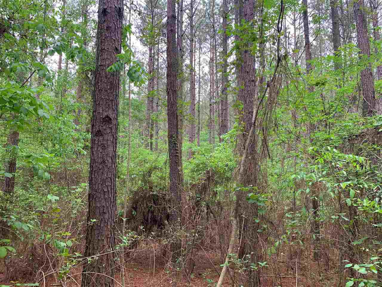 0 Palm Hill Road Brandon, MS 39042 - Photo 5 of 7 Photo 5