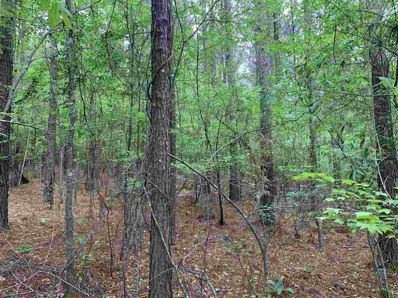 0 Palm Hill Road Brandon, MS 39042 - Photo 6 of 7 Photo 6
