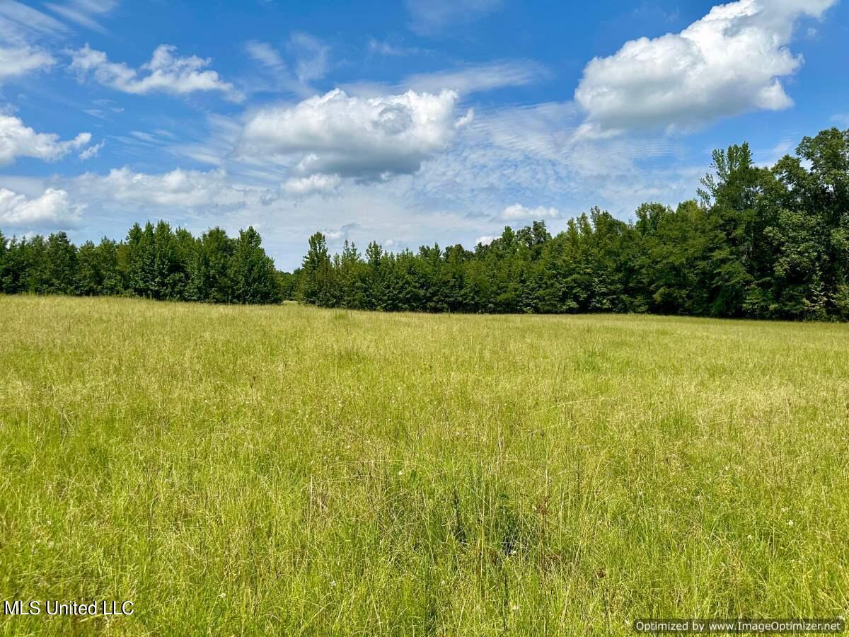 5020 Highpoint-Weir Road Louisville, MS 39339 - Photo 54 of 82 home-for-sale-Winston-county-ms (55)