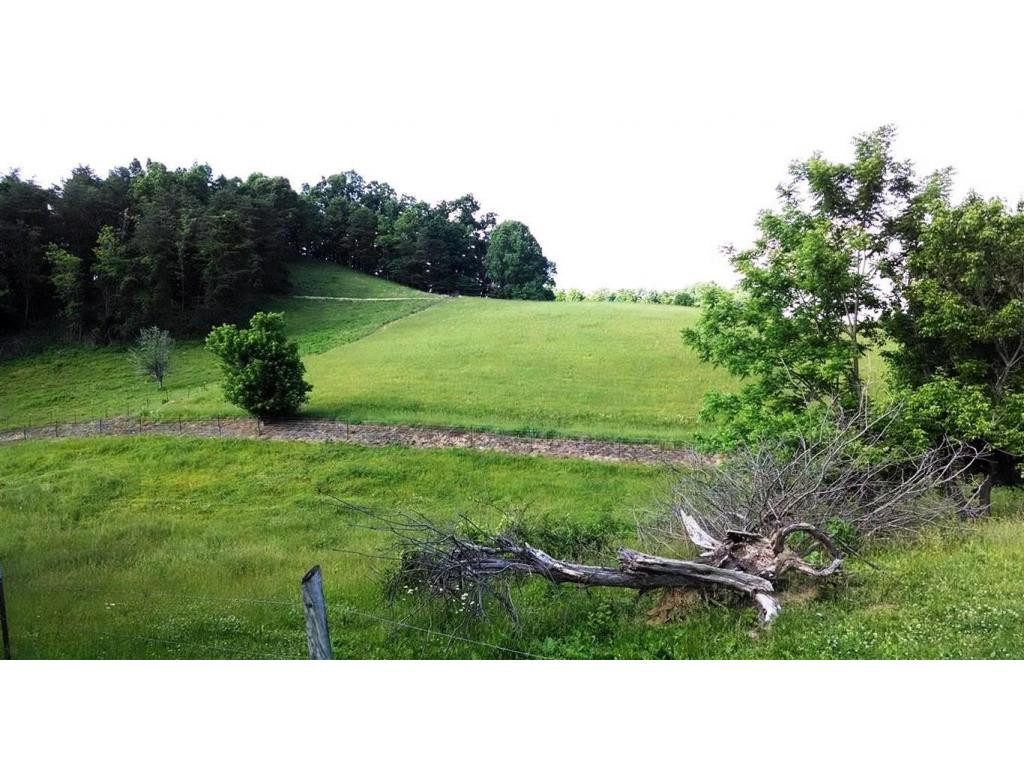 0 Lemons Road Eidson, TN 37731 - Photo 2 of 6 Photo 2